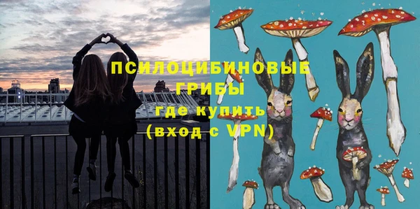 соль ск Алексин